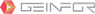 Geinfor